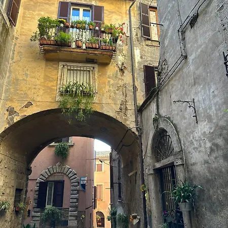 La Civetta - *