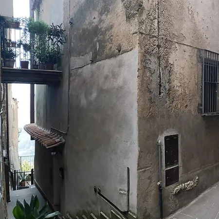 La Civetta - *